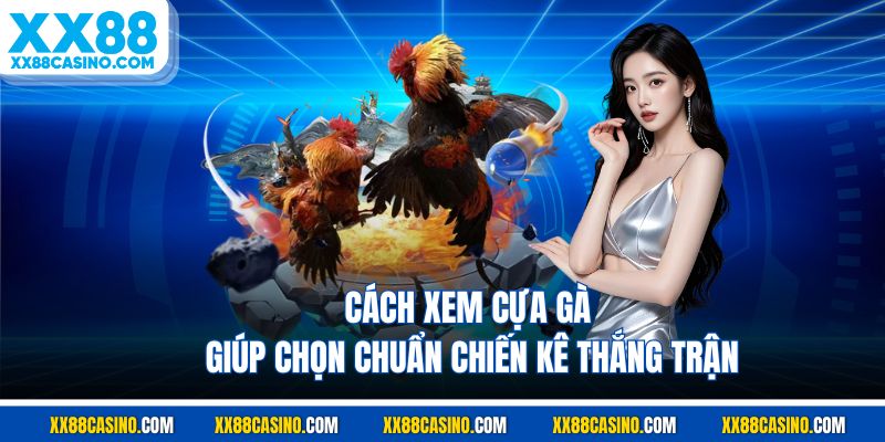Cách Xem Cựa Gà Giúp Chọn Chuẩn Chiến Kê Thắng Trận